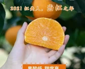 2021年象山紅美人柑橘桔子多少錢(qián)一斤？產(chǎn)地是哪里？哪里最出名？